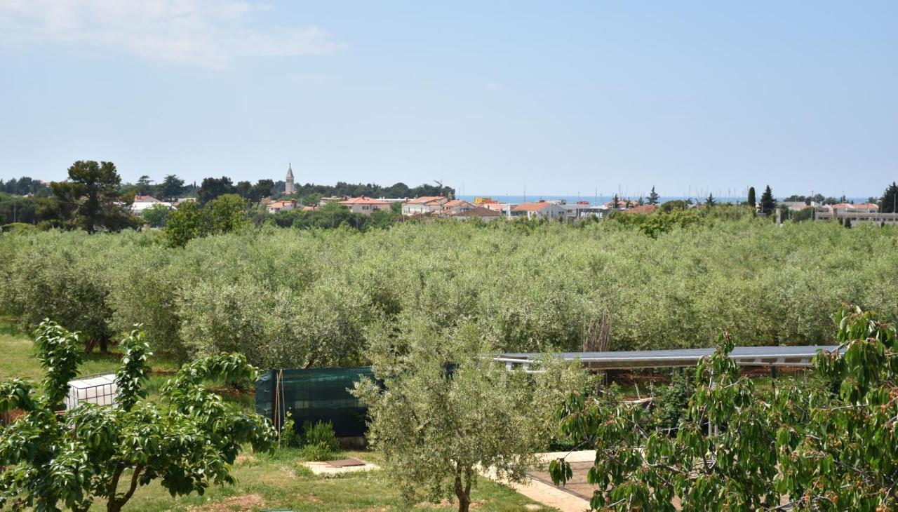 Apartmani Diana Novigrad  Exterior photo