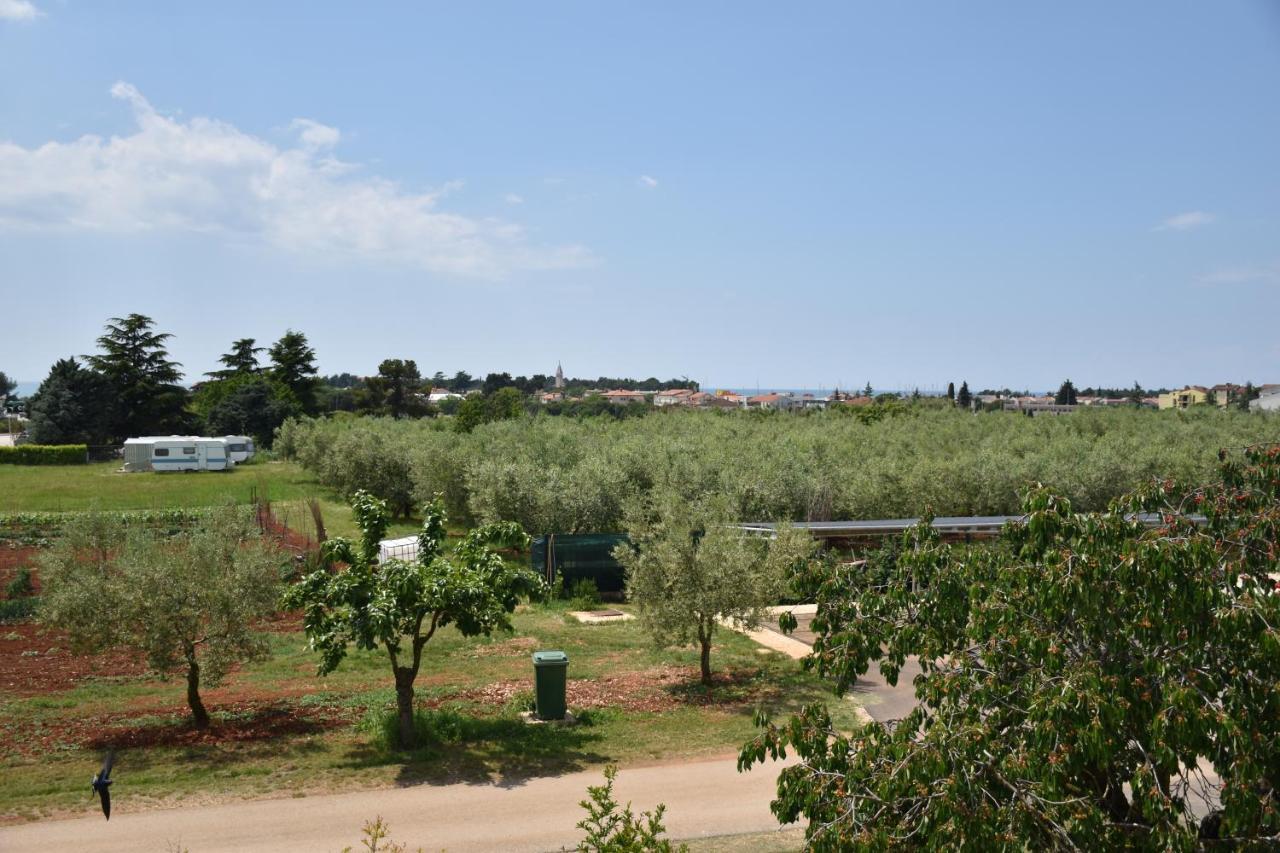 Apartmani Diana Novigrad  Exterior photo